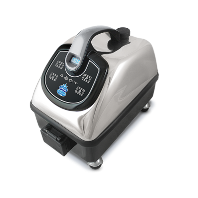 Thermostar dry steam cleaner model Professional grey handle